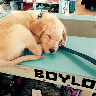 Happy Christmas from a sleepy Boylo's team! We are closed tomorrow but back open Boxing Day from 10:30am xxx