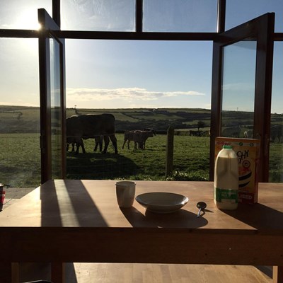Some mornings 👌 cheers for the milk gals #breakfastview #calves #farmlife @ckarlsberg