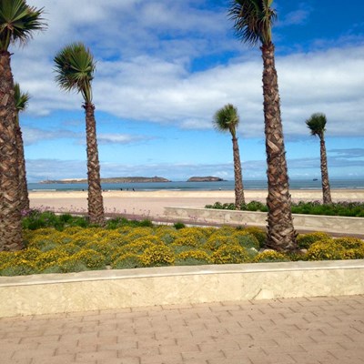 Good morning  Essaouira