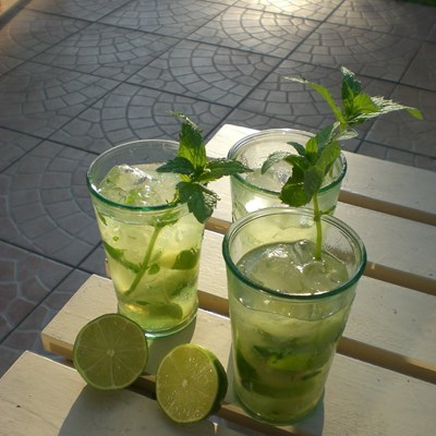 Homegrown Mojito