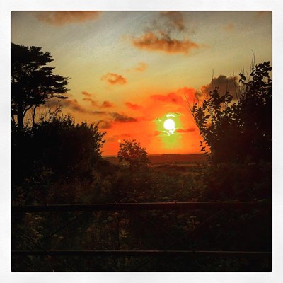 Beautiful Gower sunset last night!!