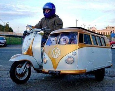 Well how about this VW Van? If you have any photos please share with us. #circleonesurfco #vwvan