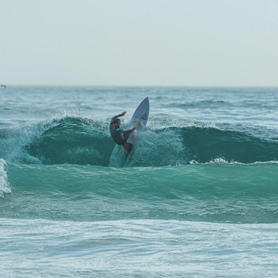 Hope everyone had a good break and here's to a huge 2016. A few fun waves about over the last few weeks, the Bowl Food model shown below has been a winner.Photo from Sprout Daily