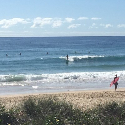 #visitsunshinecoast #beachdays get out early for the lighter winds 👌great days to #learntosurf with @coolumsurfschool or grab a #hireboard from our #familyowned  #surfshop #coolum #boardroom opposite the #coolumskatepark #ticklepark #enjoytheday