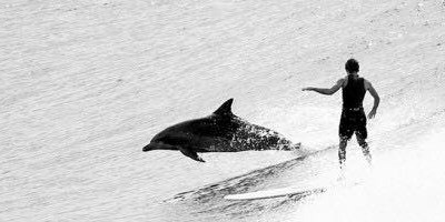 Au nom de toute l'équipe bonne année !!Je profite surtout de l'occasion pour remercier tous les surfeurs et surfeuses qui sont passés nous voir cette année.A très vite, l'école réouvre à Pâques.