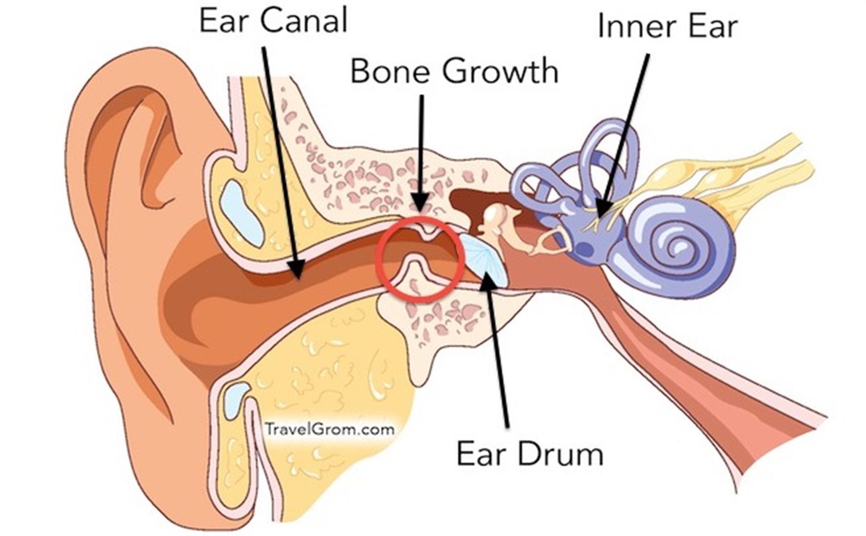 EQ Seals Earplugs - Tested