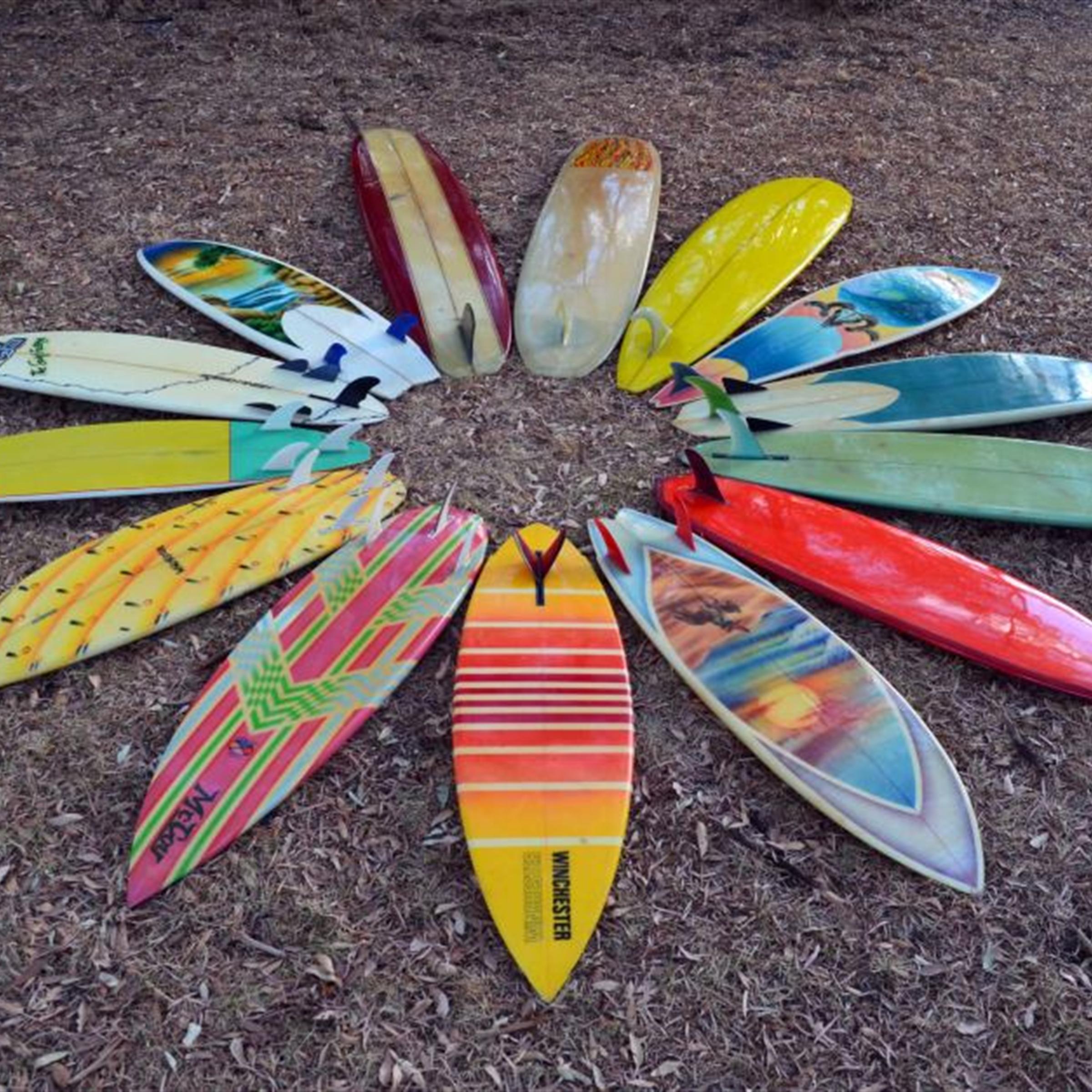Surfboard Noses and Tails Explained