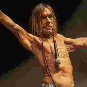 Iggy Pop, doing his thing.