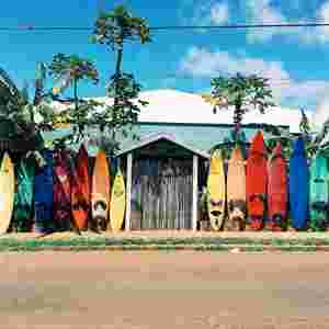 A load of different coloured surfboards.